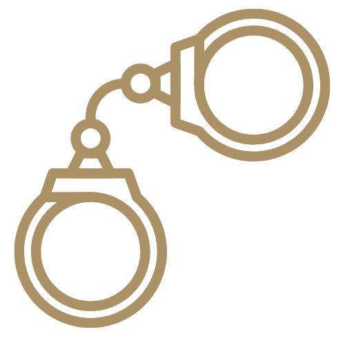 Criminal Litigation Icon